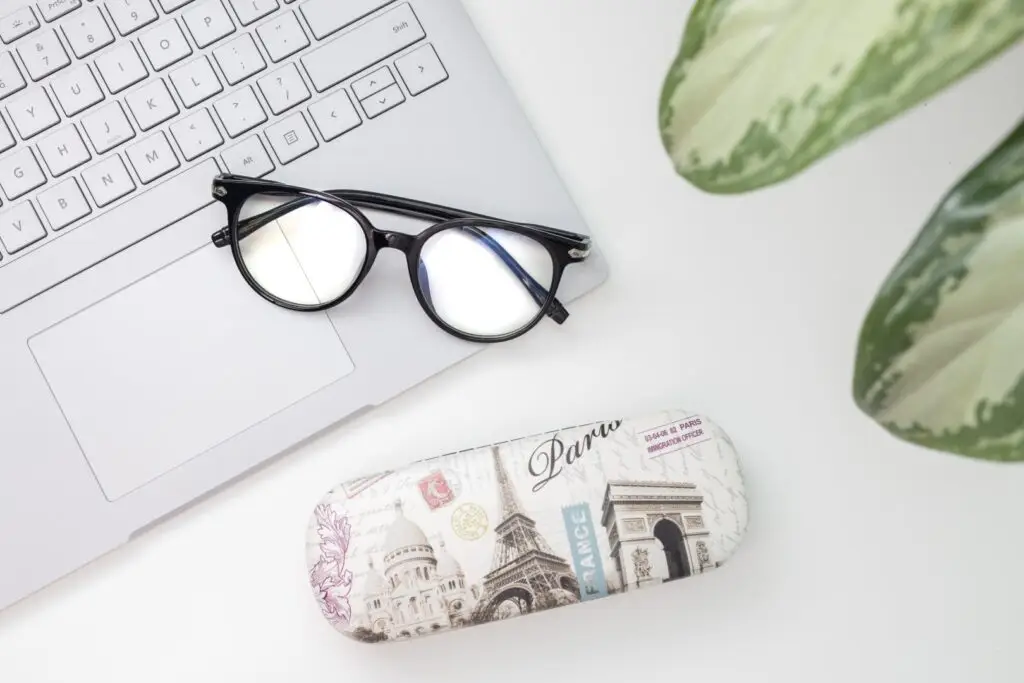 flat lay of laptop, glasses and case with green leaves