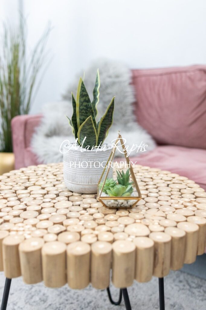 Small terrarium and snake plant on woven table with pink sofa background, modern home decor stock image.