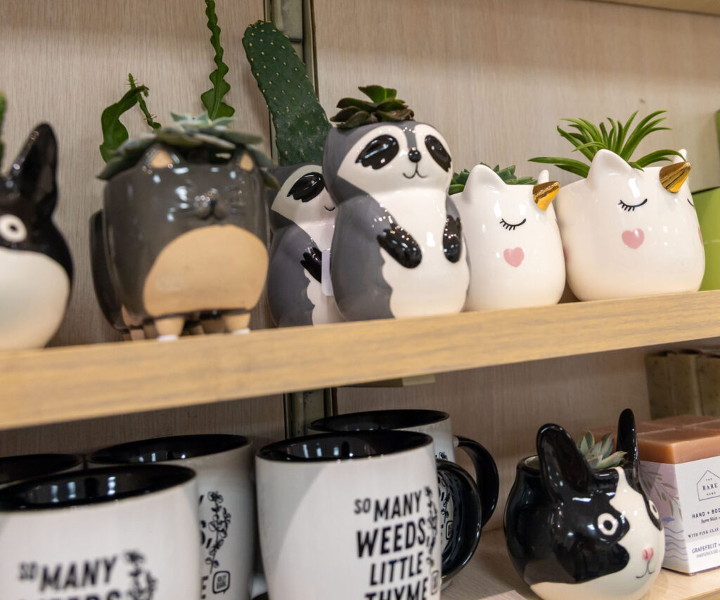 Lifestyle product photography of ceramic planters and décor items for a Mississauga small business
